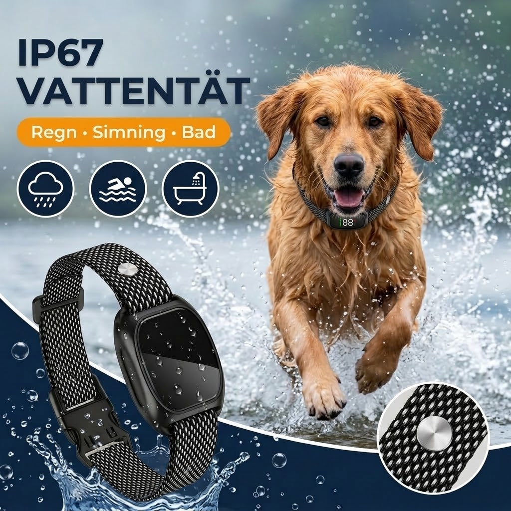 Anti-skällande halsband – Djurvänligt och justerbart
